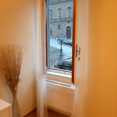 Apartment Piazza Pitti View Florence