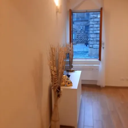 Piazza Pitti View Florencja